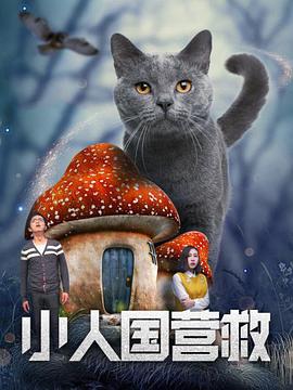 hp公交车灌溉系统